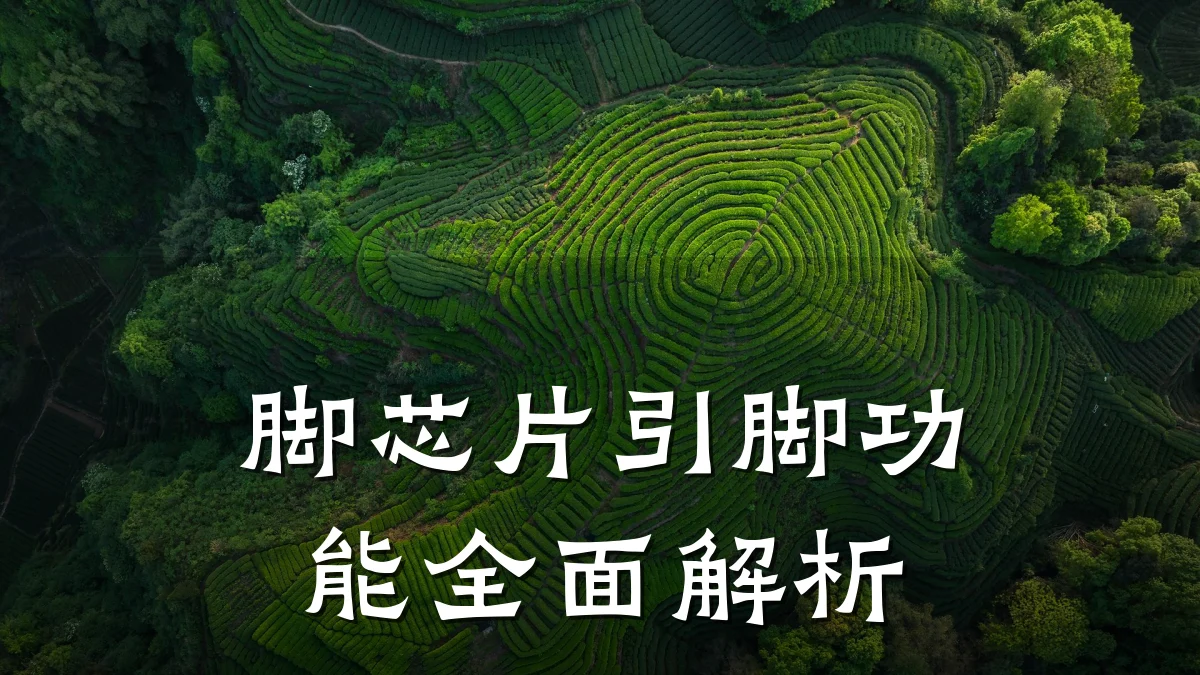 脚芯片引脚功能全面解析