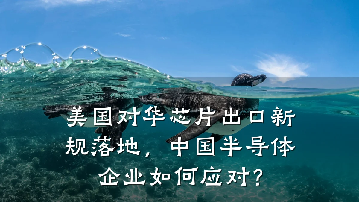 美国对华芯片出口新规落地,中国半导体企业如何应对?