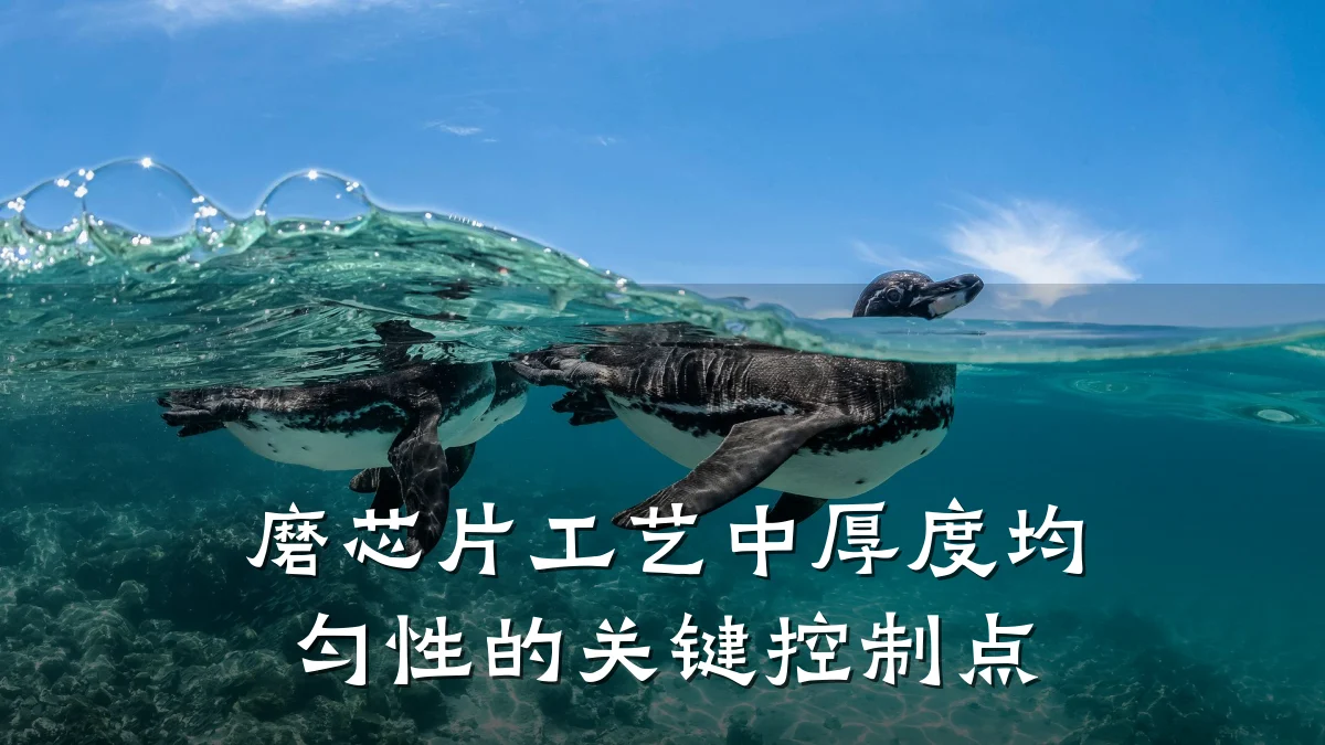 磨芯片工艺中厚度均匀性的关键控制点
