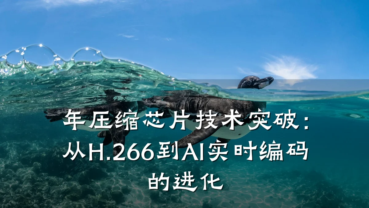 年压缩芯片技术突破:从H.266到AI实时编码的进化
