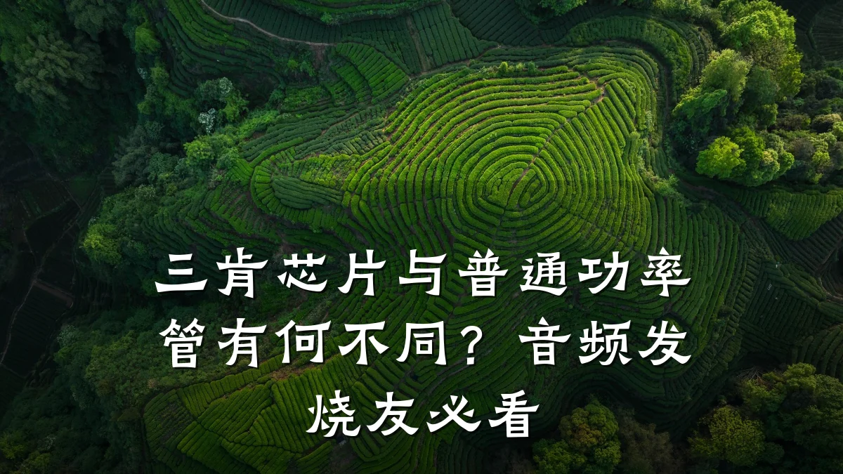 三肯芯片与普通功率管有何不同?音频发烧友必看