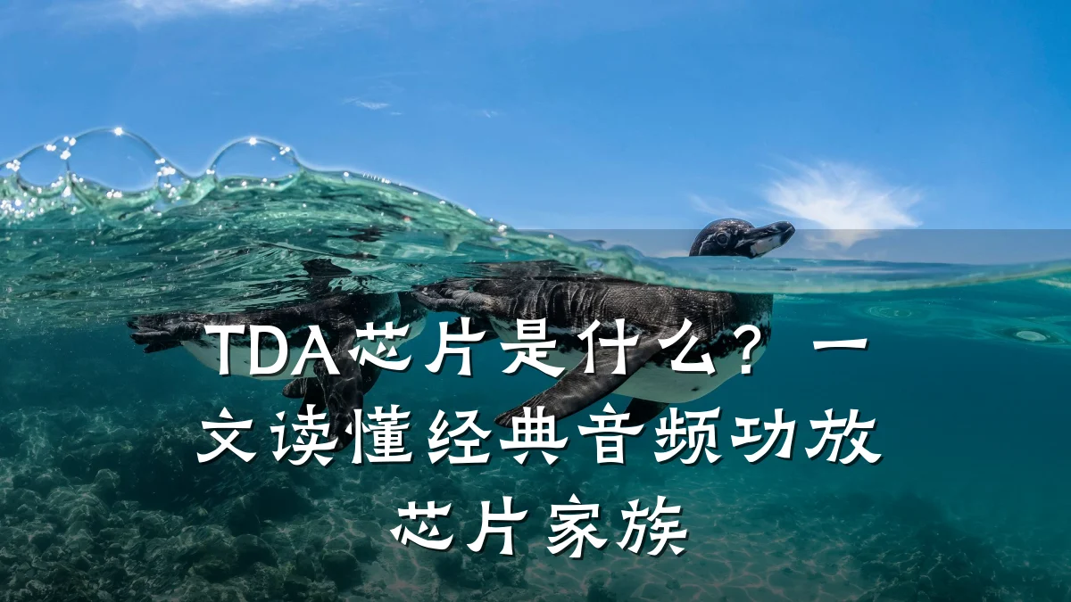 TDA芯片是什么?一文读懂经典音频功放芯片家族