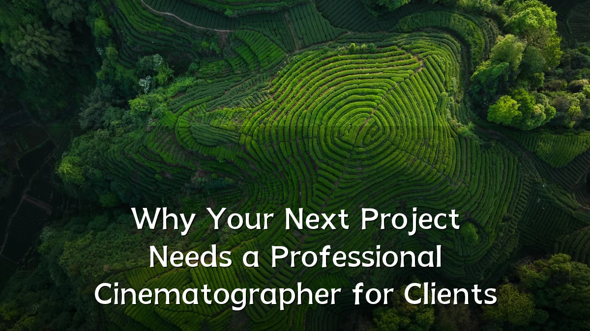 Why Your Next Project Needs a Professional Cinematographer for Clients