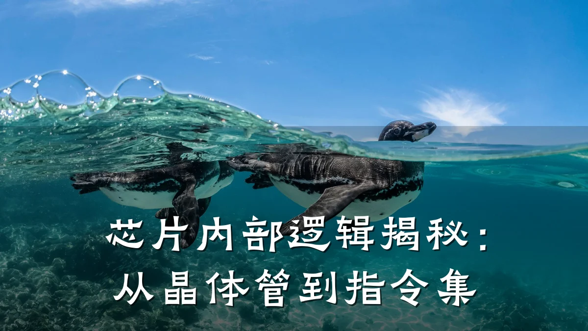芯片内部逻辑揭秘:从晶体管到指令集