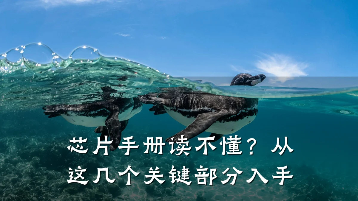 芯片手册读不懂?从这几个关键部分入手