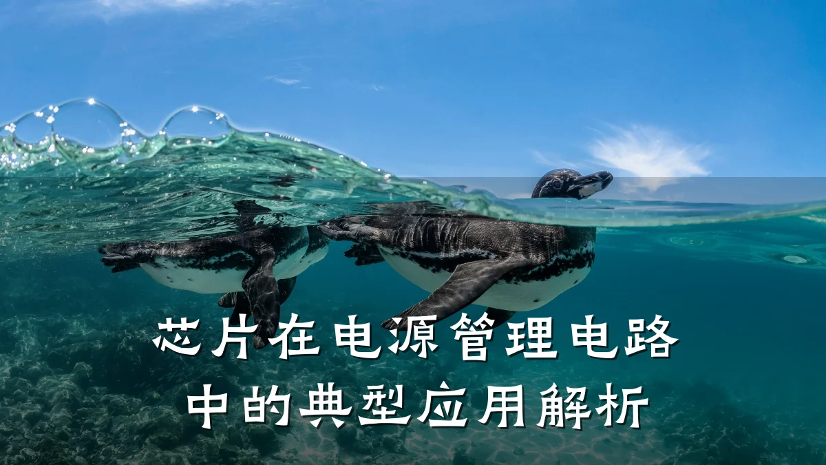 芯片在电源管理电路中的典型应用解析