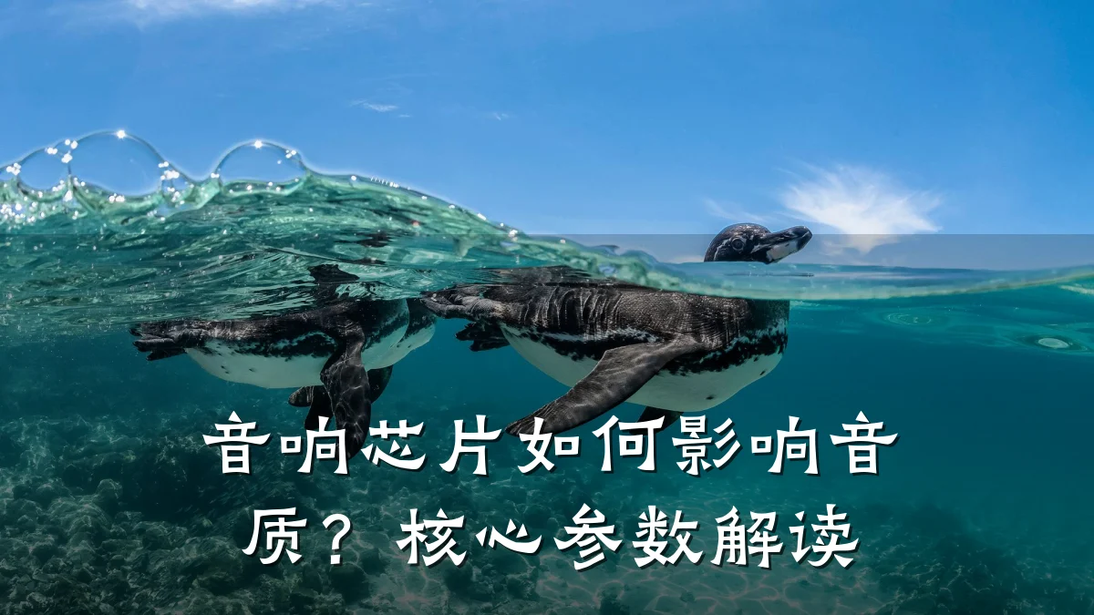 音响芯片如何影响音质?核心参数解读