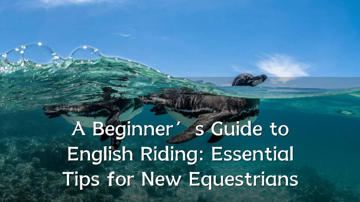 A Beginner’s Guide to English Riding: Essential Tips for New Equestrians