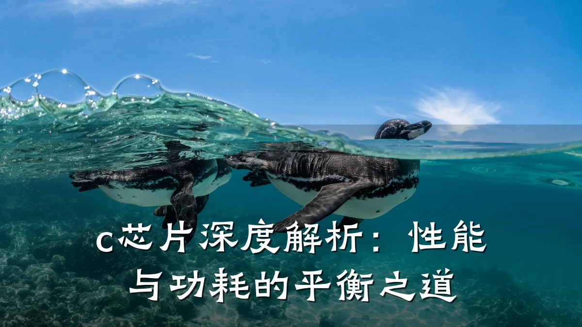 c芯片深度解析：性能与功耗的平衡之道