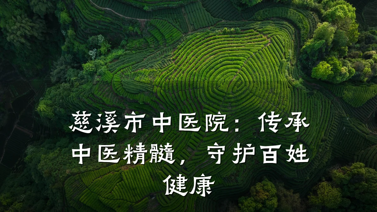 慈溪市中医院:传承中医精髓,守护百姓健康