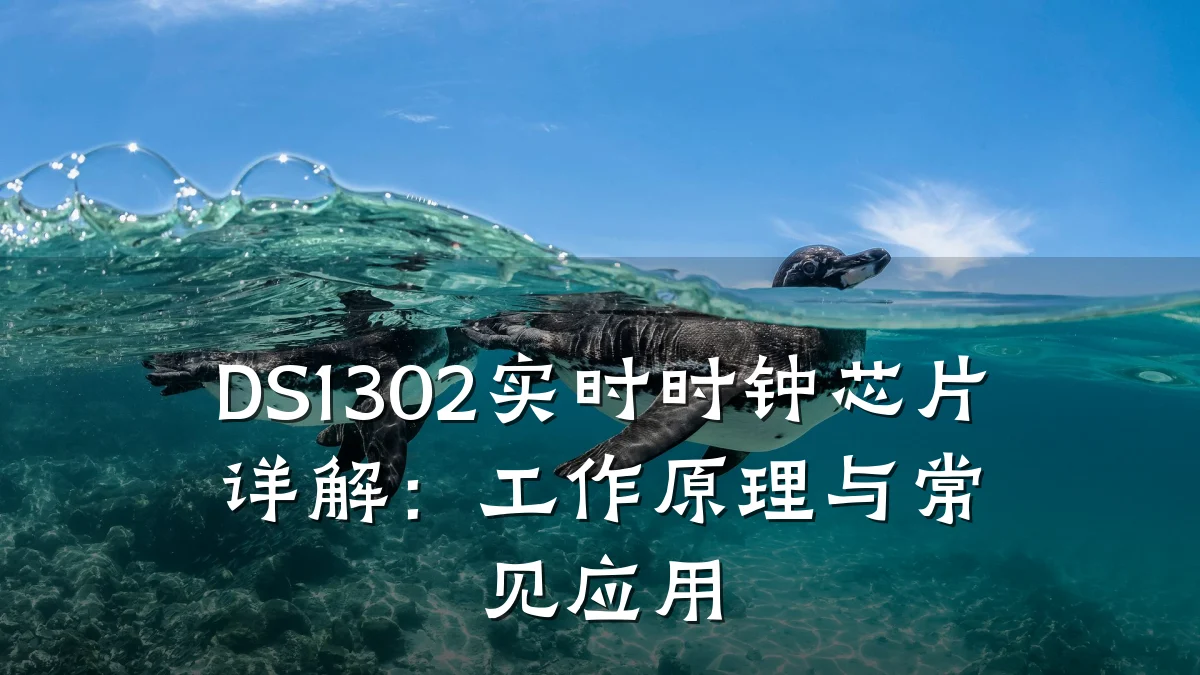 DS1302实时时钟芯片详解:工作原理与常见应用