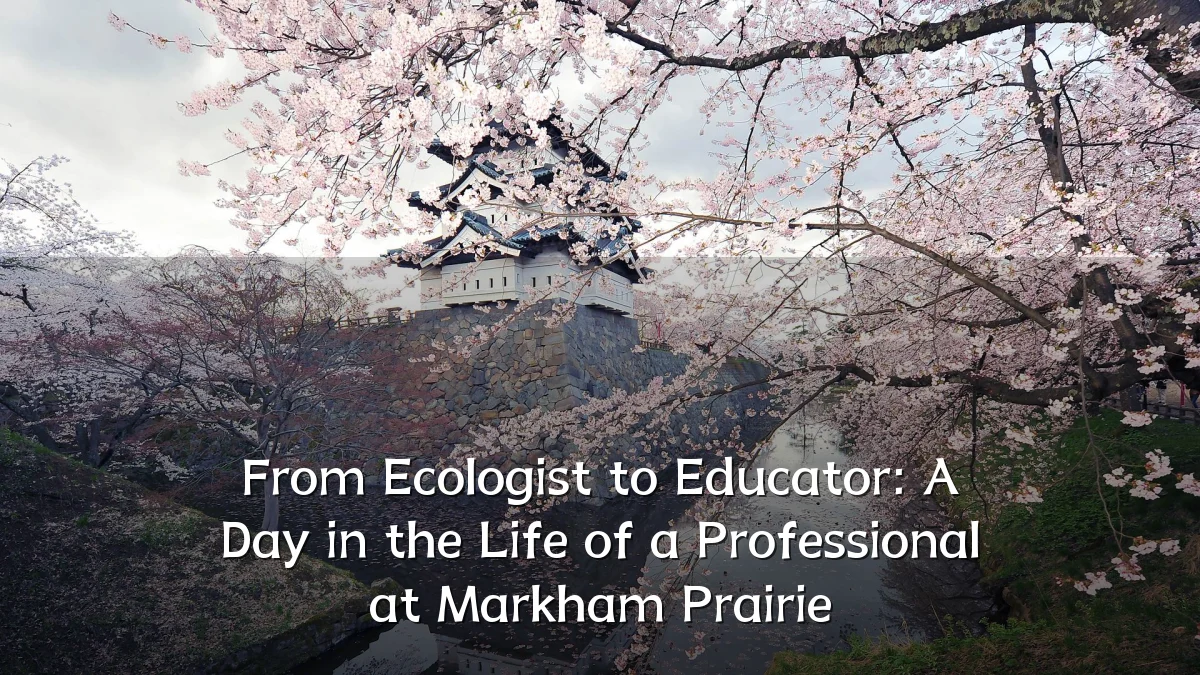 From Ecologist to Educator: A Day in the Life of a Professional at Markham Prairie