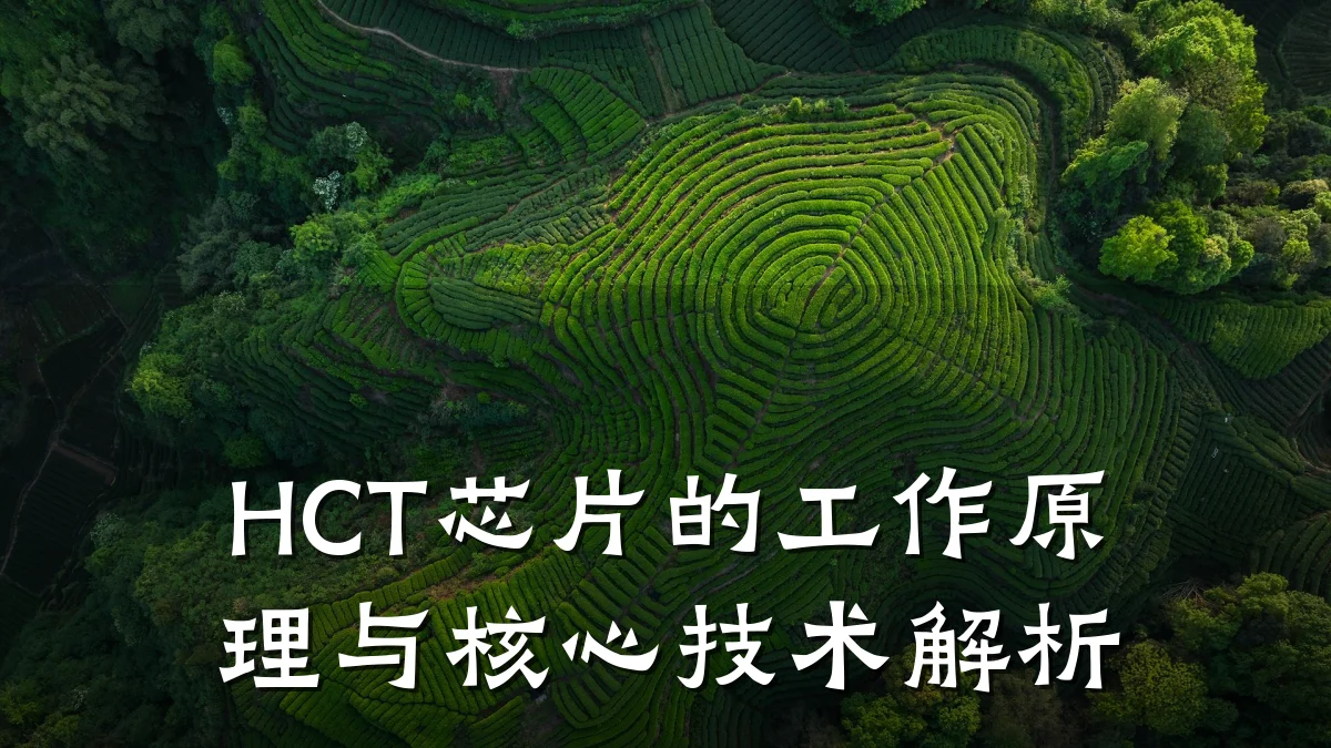 HCT芯片的工作原理与核心技术解析