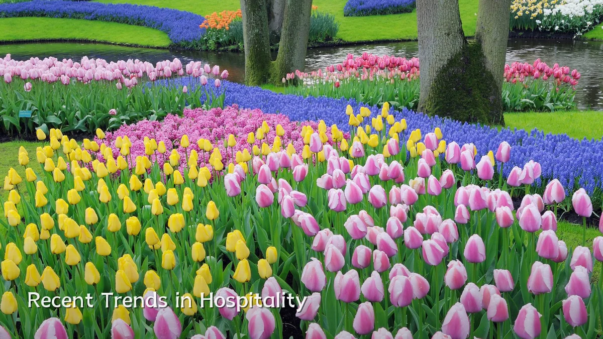 Recent Trends in Hospitality