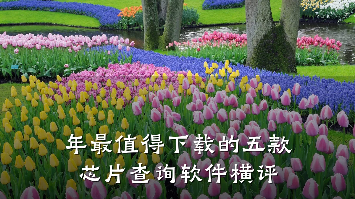 年最值得下载的五款芯片查询软件横评