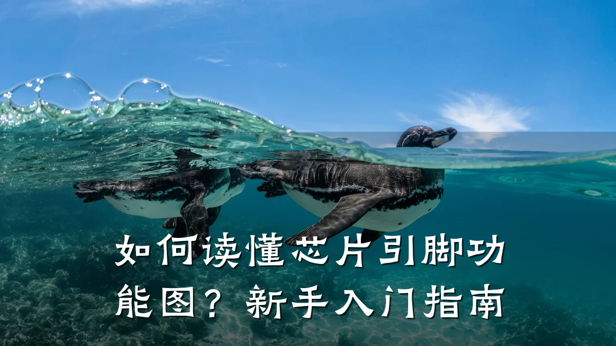 如何读懂芯片引脚功能图?新手入门指南