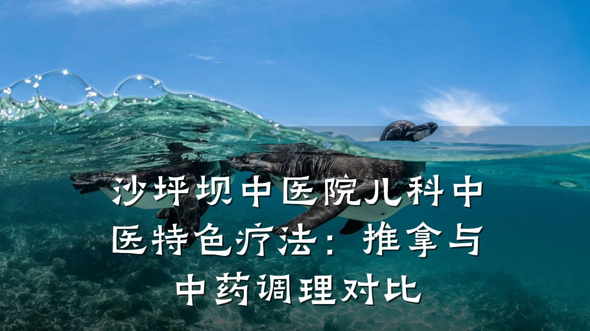 沙坪坝中医院儿科中医特色疗法：推拿与中药调理对比