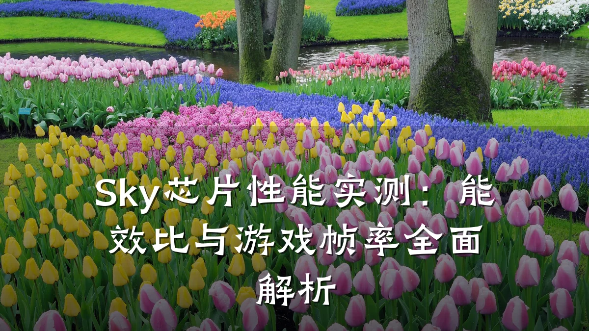 Sky芯片性能实测:能效比与游戏帧率全面解析
