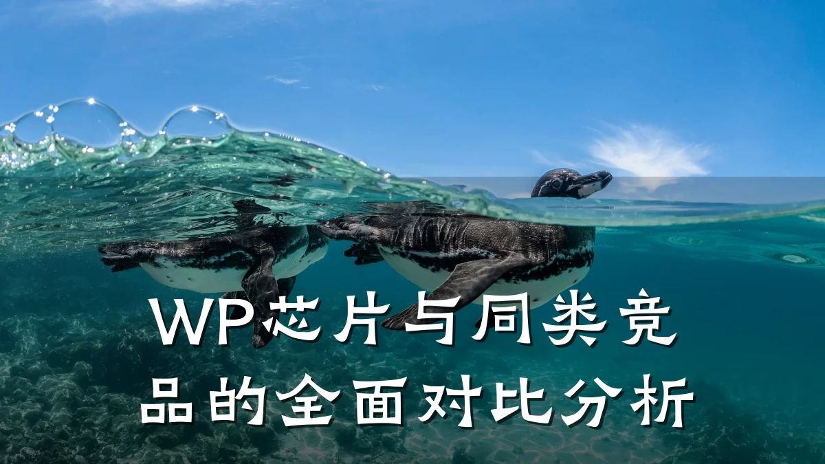 WP芯片与同类竞品的全面对比分析