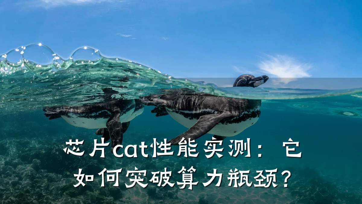 芯片cat性能实测:它如何突破算力瓶颈?