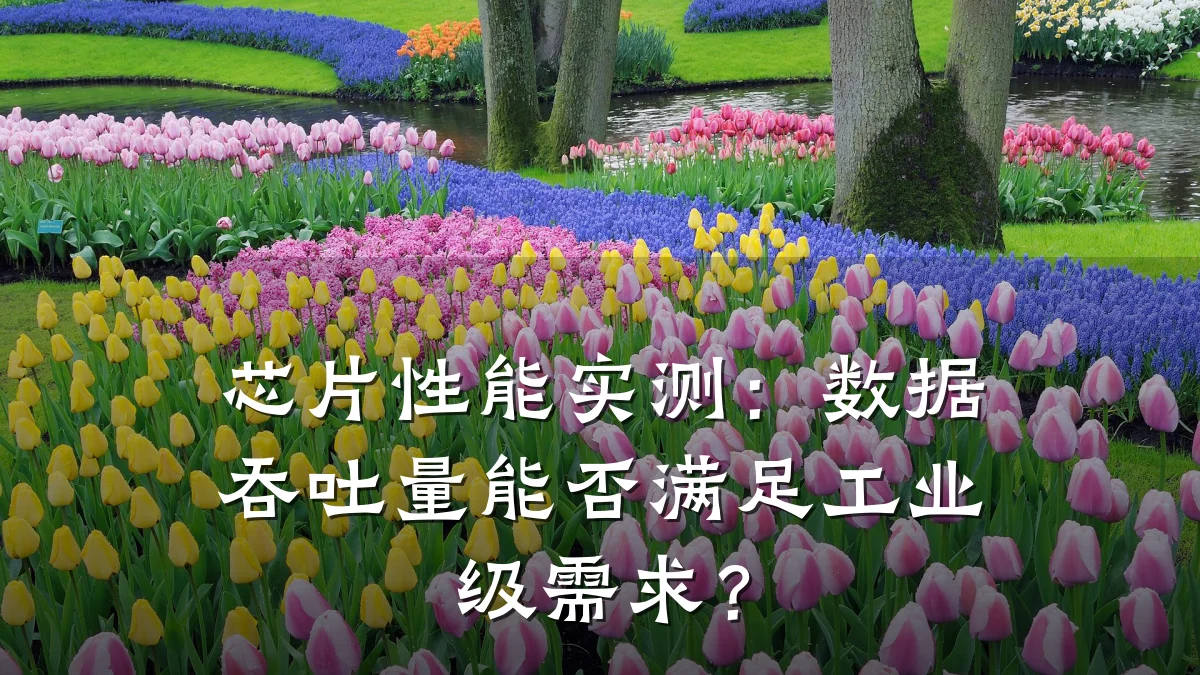 芯片性能实测:数据吞吐量能否满足工业级需求?