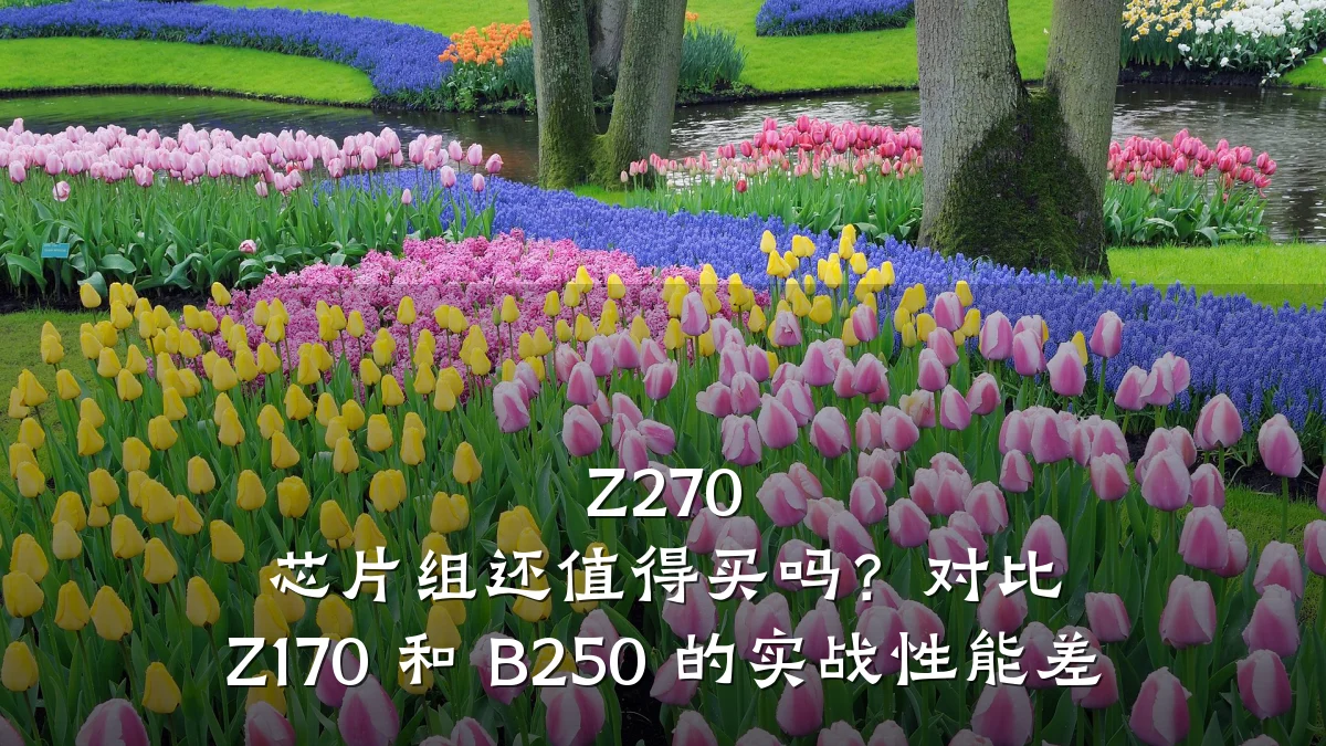 Z270 芯片组还值得买吗?对比 Z170 和 B250 的实战性能差