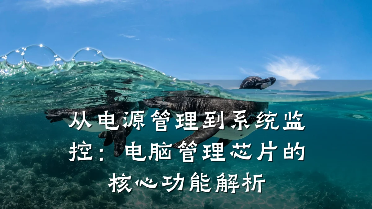 从电源管理到系统监控:电脑管理芯片的核心功能解析