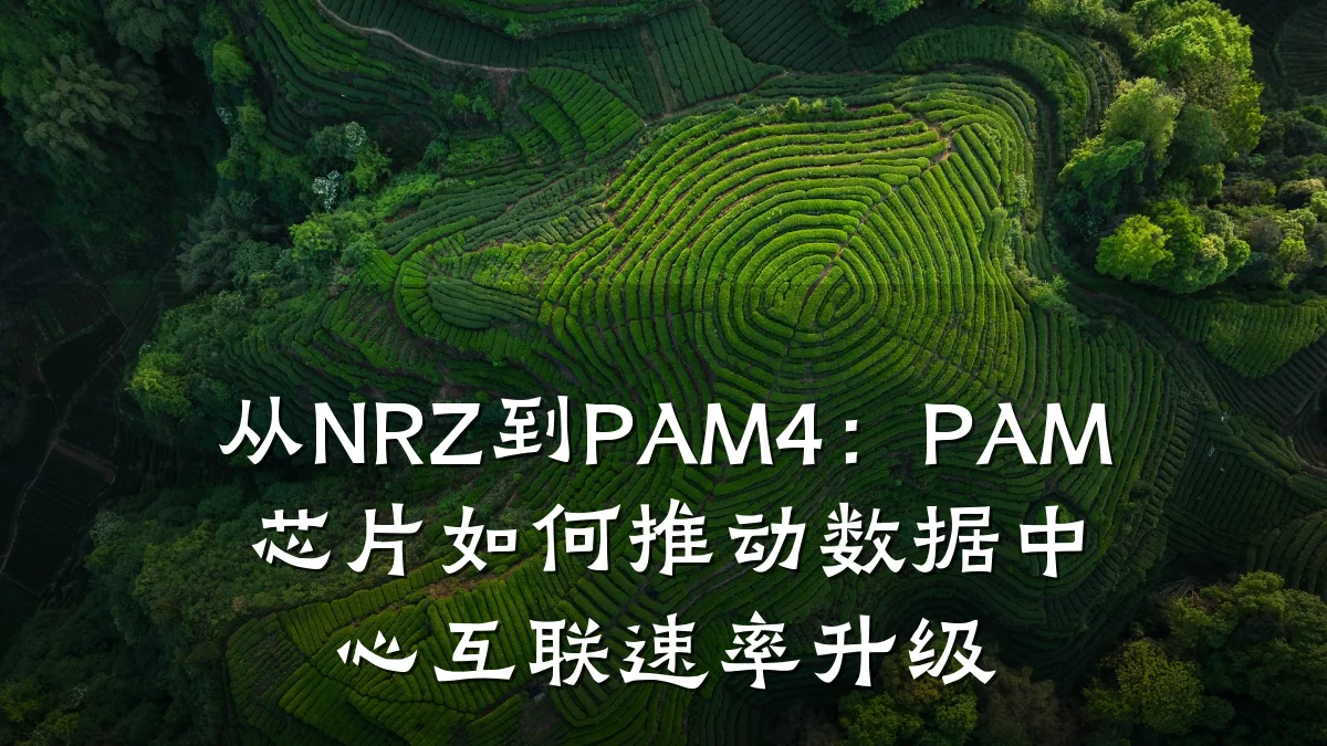 从NRZ到PAM4:PAM芯片如何推动数据中心互联速率升级