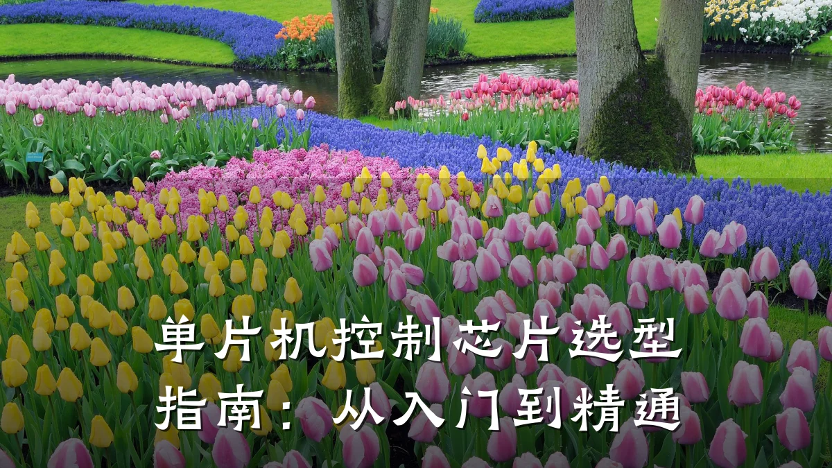 单片机控制芯片选型指南:从入门到精通