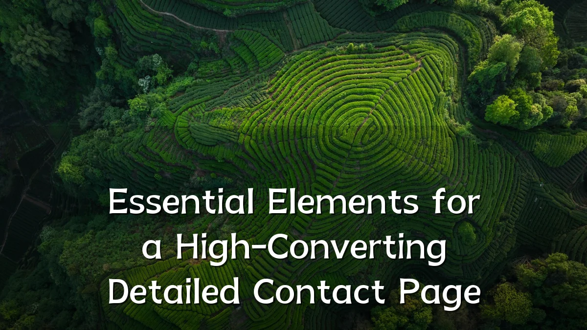 Essential Elements for a High-Converting Detailed Contact Page