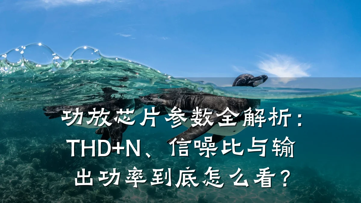 功放芯片参数全解析:THD+N、信噪比与输出功率到底怎么看?