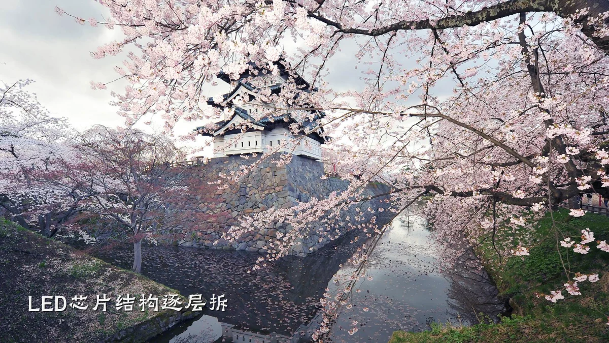 LED芯片结构逐层拆