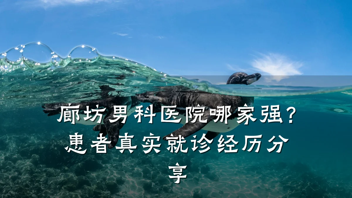 廊坊男科医院哪家强？患者真实就诊经历分享