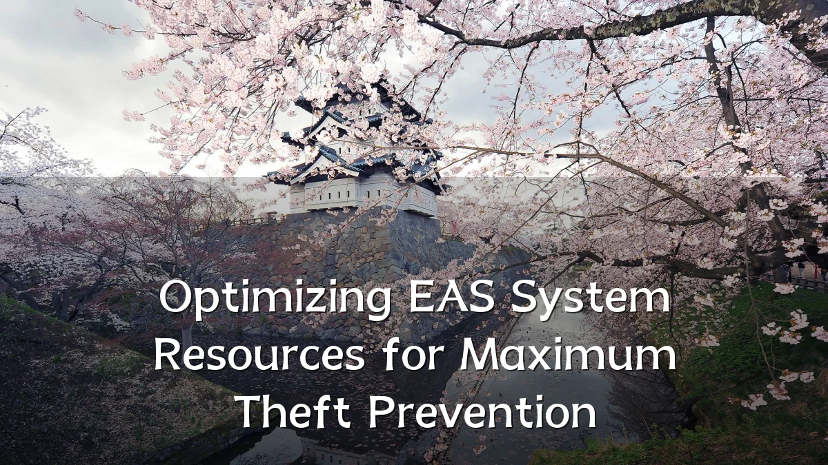Optimizing EAS System Resources for Maximum Theft Prevention