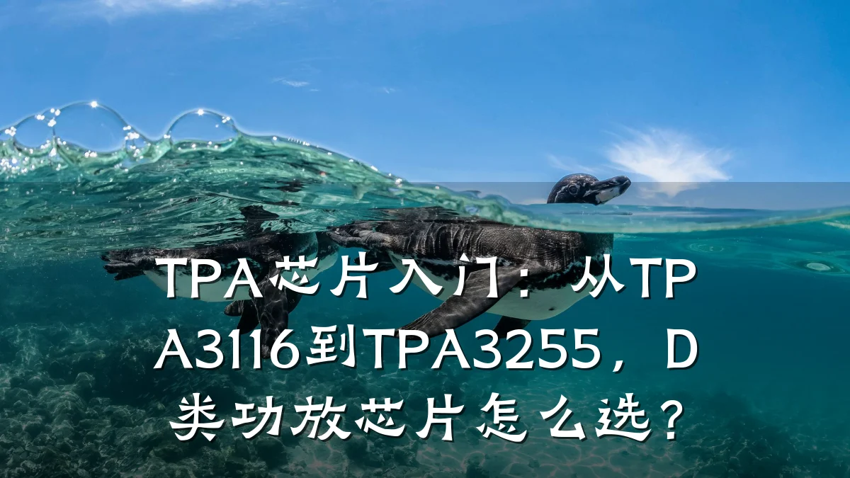 TPA芯片入门:从TPA3116到TPA3255,D类功放芯片怎么选?