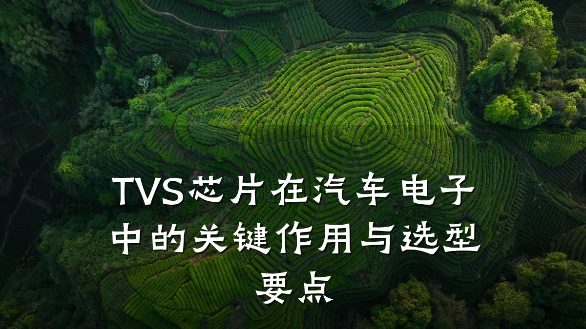 TVS芯片在汽车电子中的关键作用与选型要点