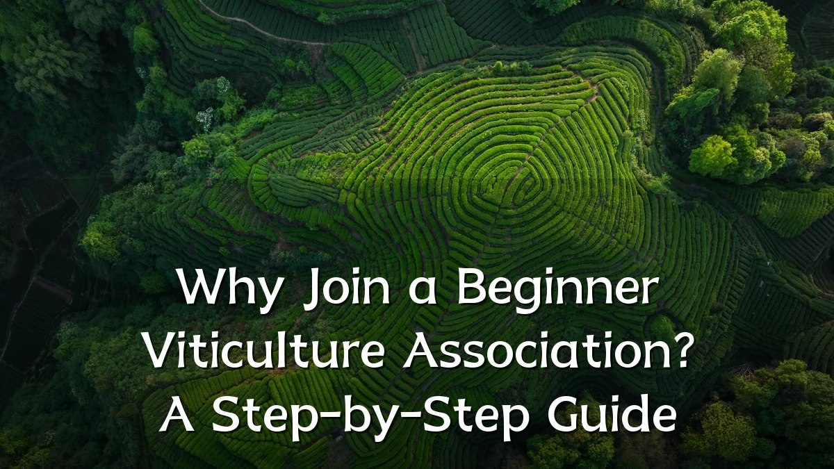 Why Join a Beginner Viticulture Association? A Step-by-Step Guide