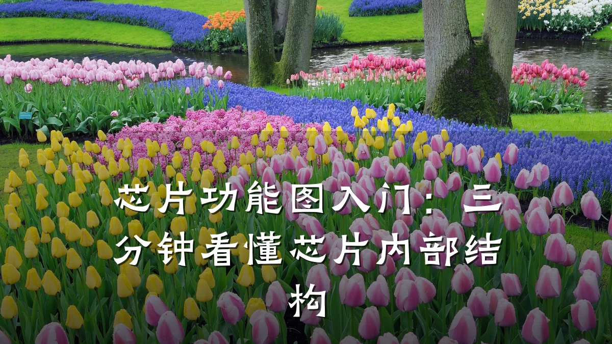 芯片功能图入门：三分钟看懂芯片内部结构