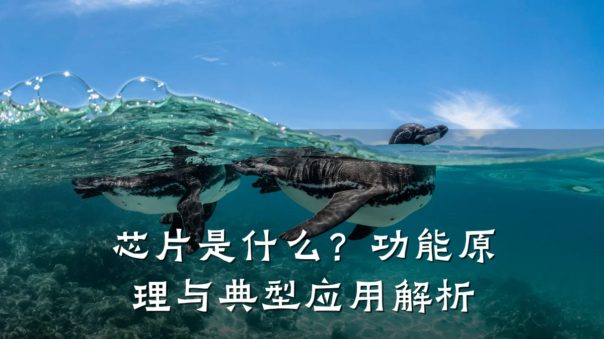 芯片是什么？功能原理与典型应用解析
