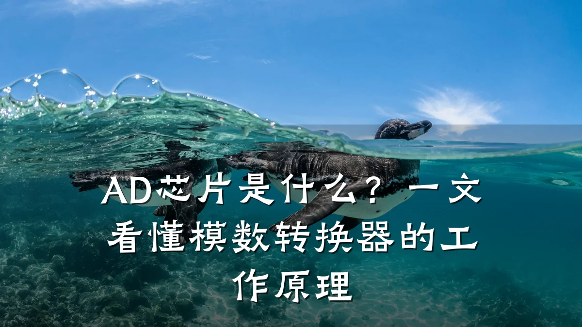 AD芯片是什么?一文看懂模数转换器的工作原理