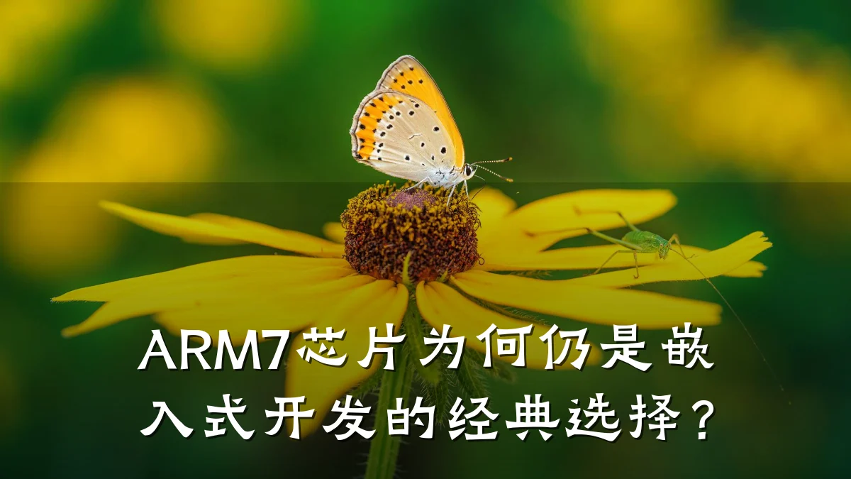 ARM7芯片为何仍是嵌入式开发的经典选择?