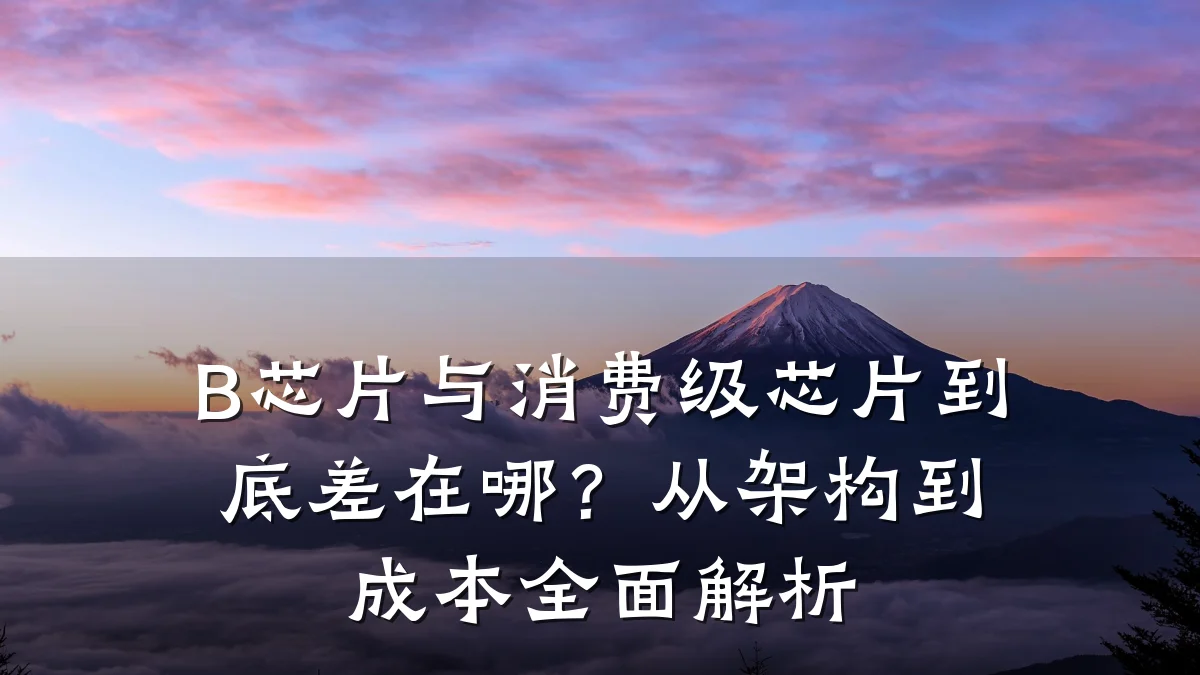 B芯片与消费级芯片到底差在哪？从架构到成本全面解析