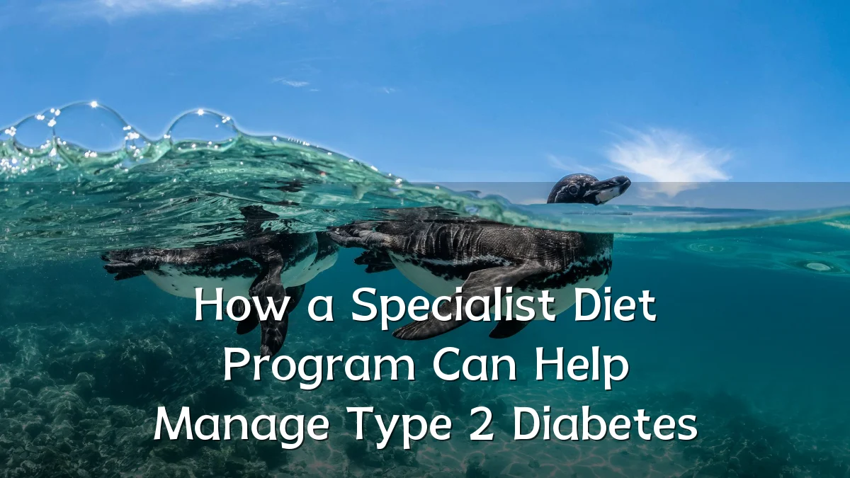 How a Specialist Diet Program Can Help Manage Type 2 Diabetes
