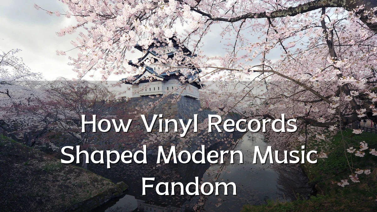 How Vinyl Records Shaped Modern Music Fandom