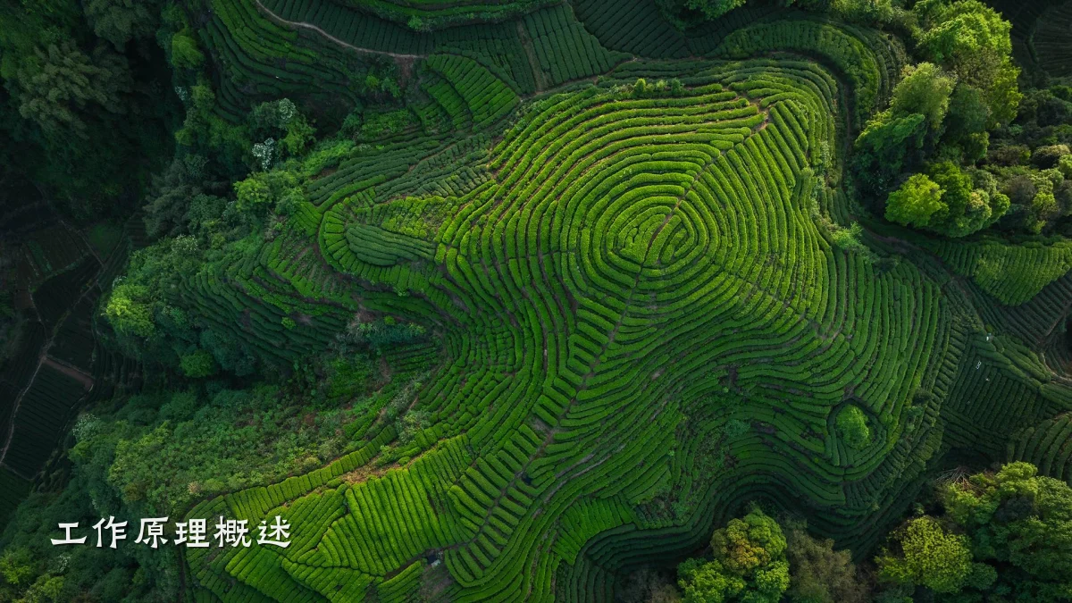 工作原理概述