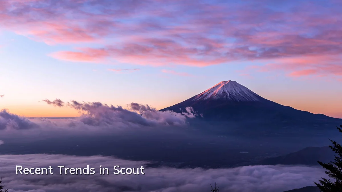 Recent Trends in Scout
