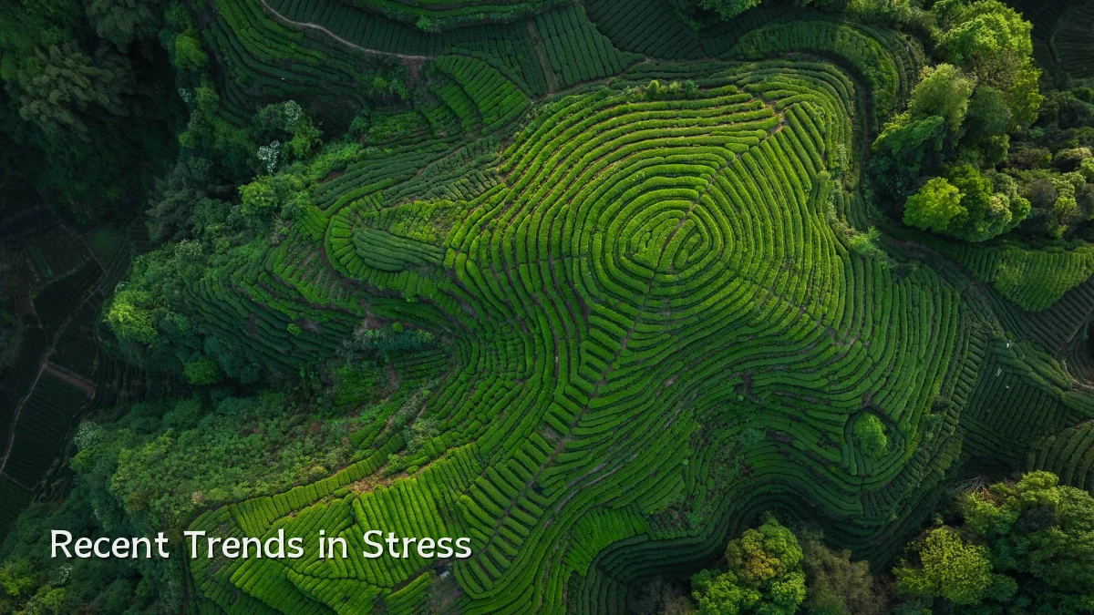 Recent Trends in Stress