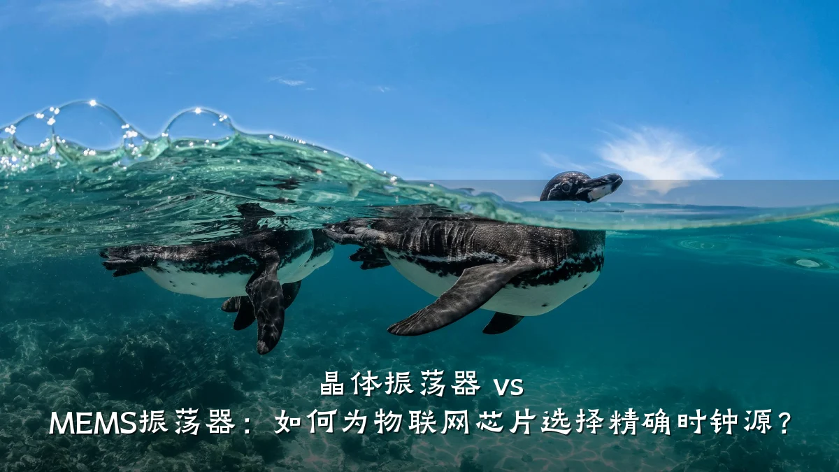 晶体振荡器 vs MEMS振荡器:如何为物联网芯片选择精确时钟源?