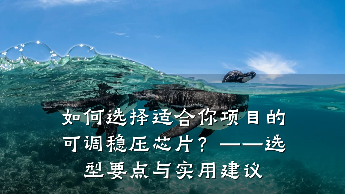 如何选择适合你项目的可调稳压芯片?——选型要点与实用建议