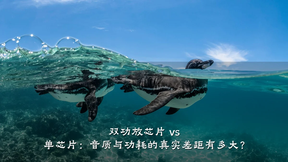 双功放芯片 vs 单芯片:音质与功耗的真实差距有多大?